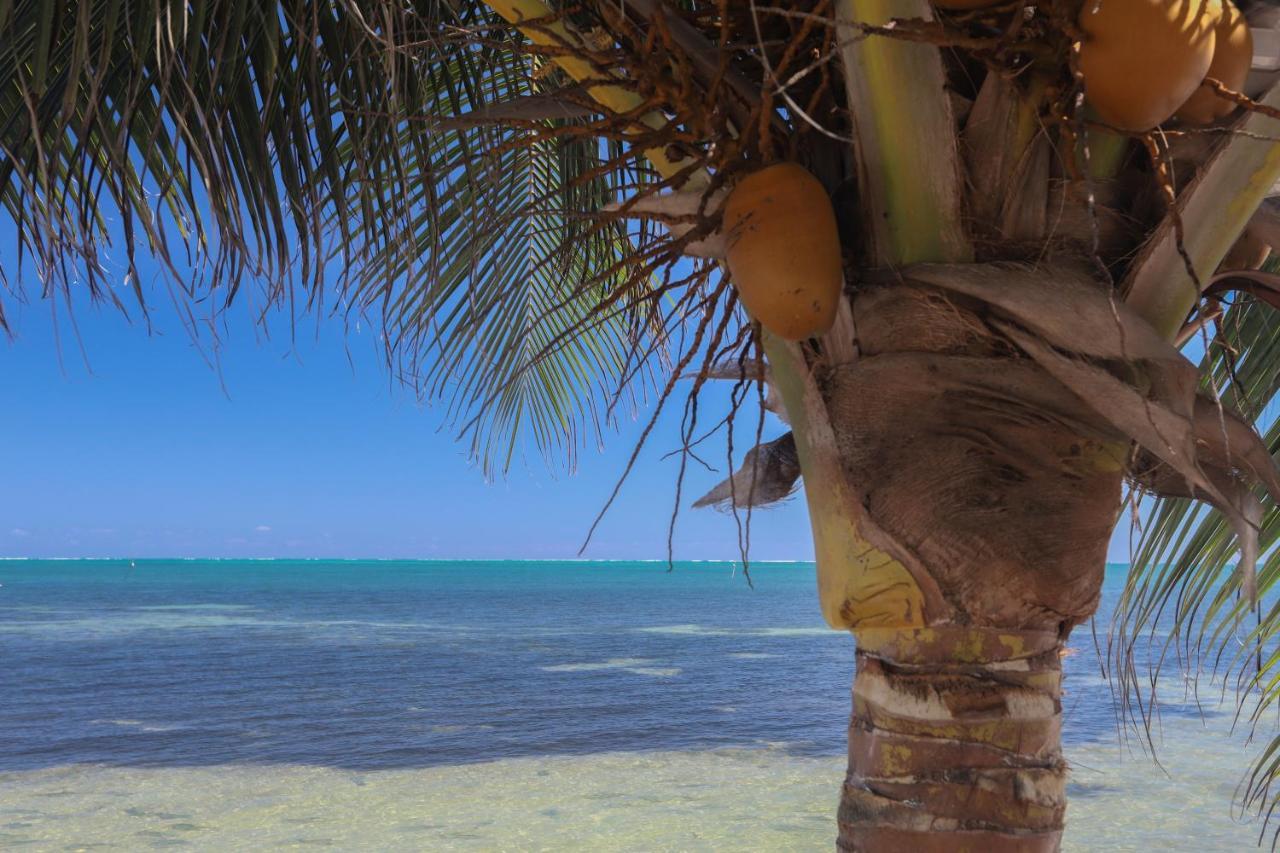 Treetops Hotel Caye Caulker Exterior photo